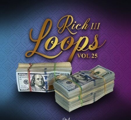 DiyMusicBiz Rich Loops Vol 25 WAV